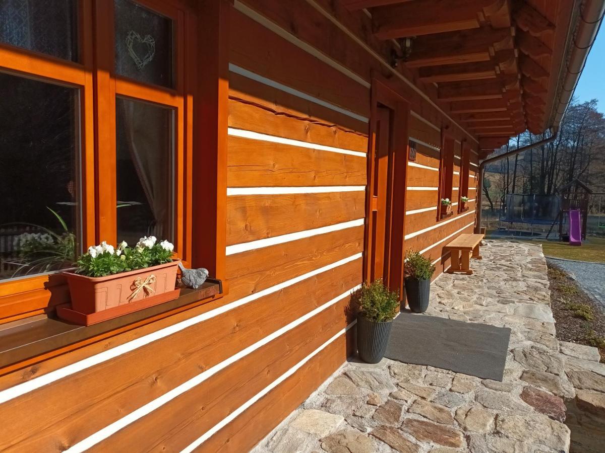 Apartmany U Vlcich Jam Petrovice u Susice Exterior photo